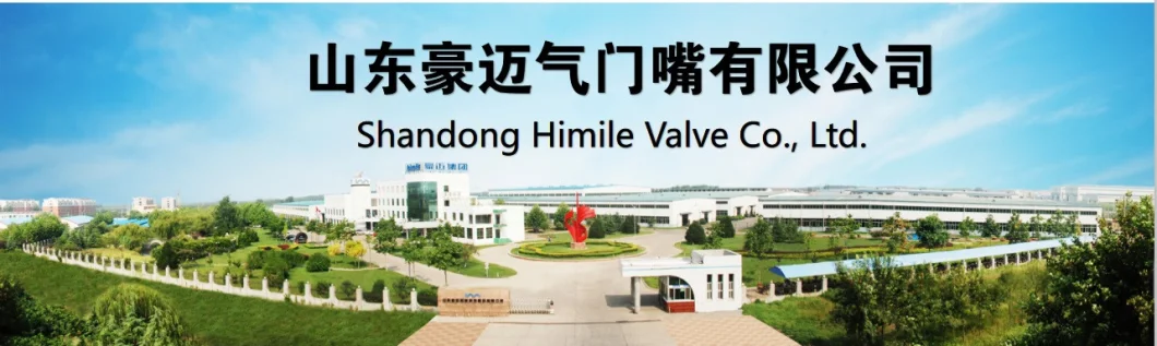 Himile Multifunctional Valve Body 1/16-27 Screw Thread, High Quality Protective Helmet Sale Auto Parts.